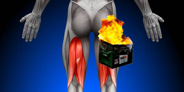 The Dumpster fire of my hamstring.